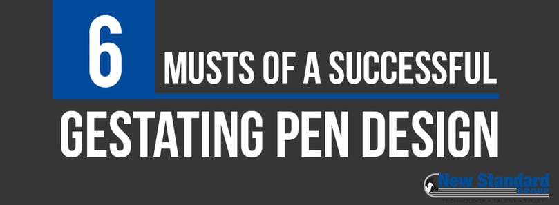 6 musts of a successful gestating pen design