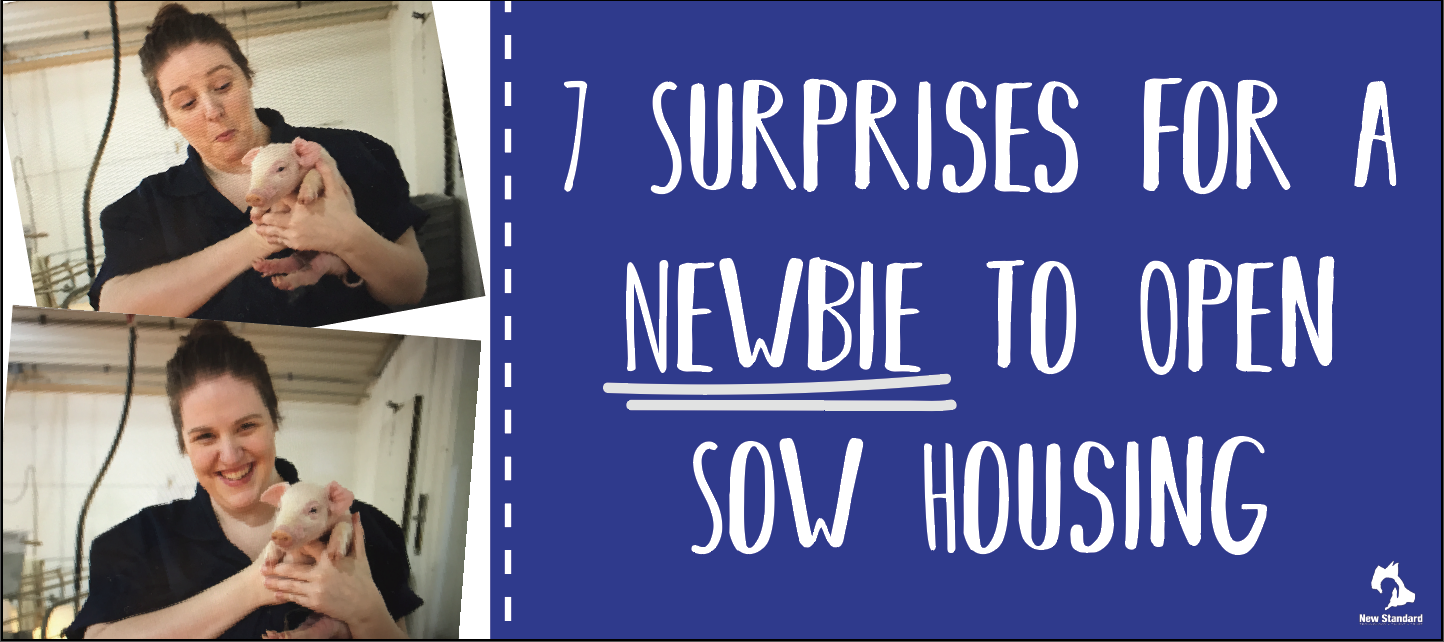 7surprisesforanewbie