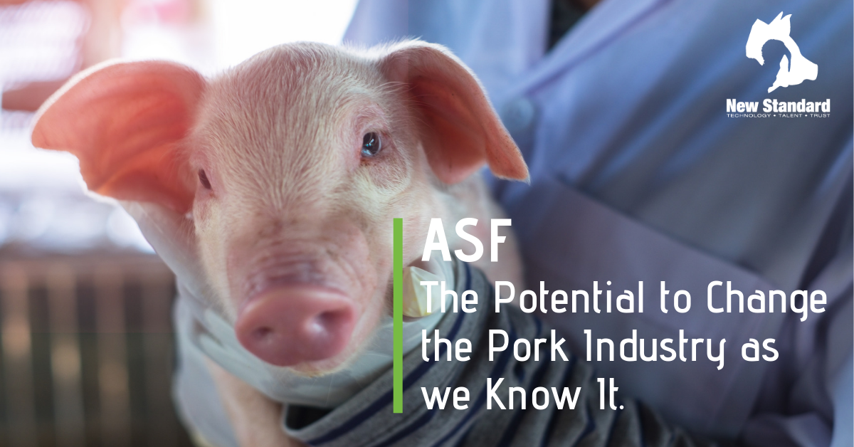 ASF-African Swine Fever