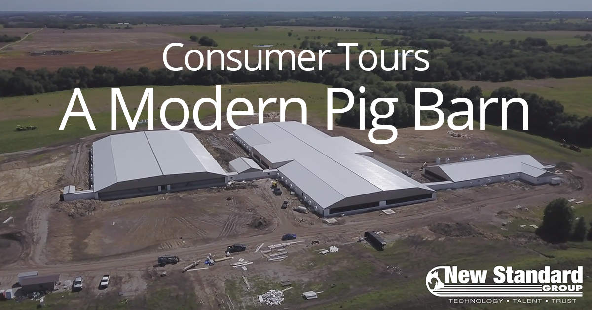 Modern Pig Barns, Thoughts from a Pork Consumer