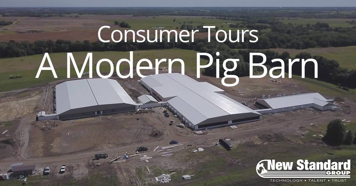 Consumer-Tours-Modern-Pig-Barn