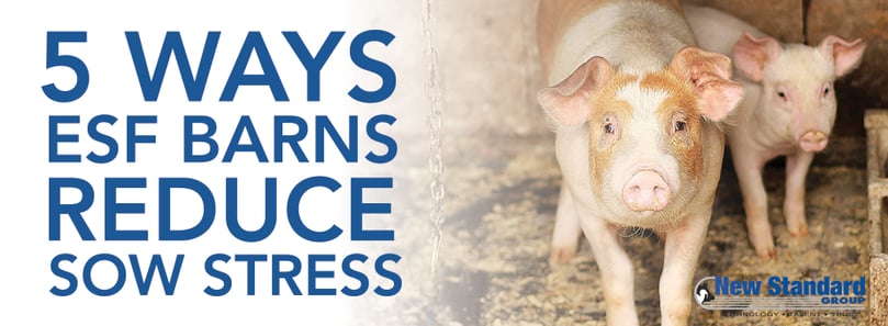 ESF barns reduce sow stress.png