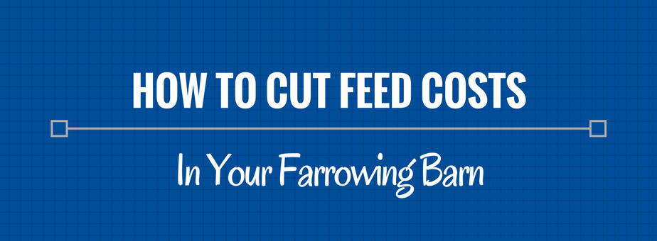 Cut feed costs in your farrowing barn