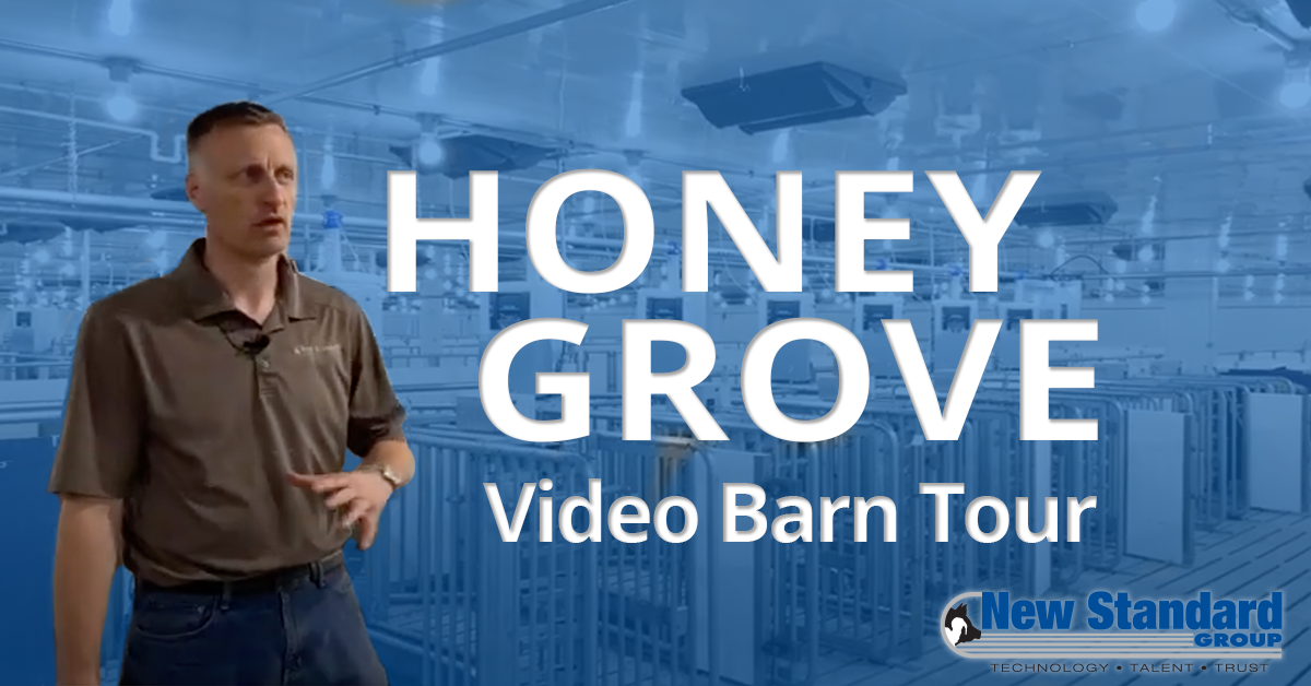 HoneyGrove-Barn-Tour