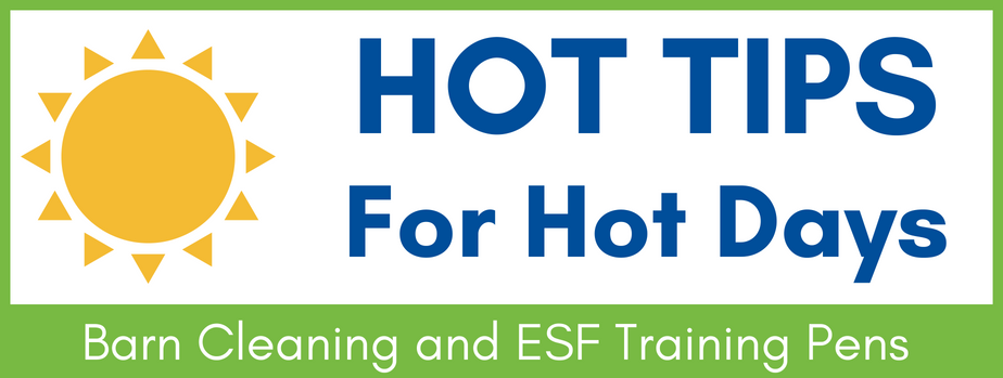 Hot Tips For Hot Days Barn Cleaning and ESF Training Pens