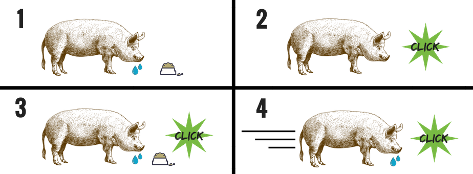 Pavlov Example