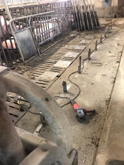 Starting Removal of stalls