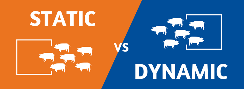 Static vs Dynamic (3).png