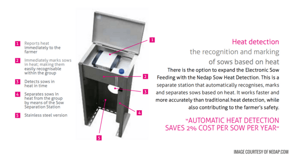 Nedap Sow Heat Detection - New Standard Group