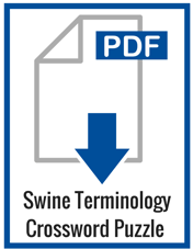 Swine term (2).png