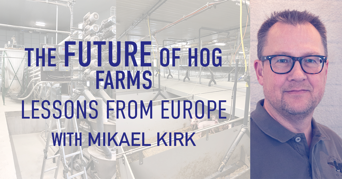 future-of-hog-farm