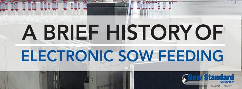 history of nedap electronic sow feeding