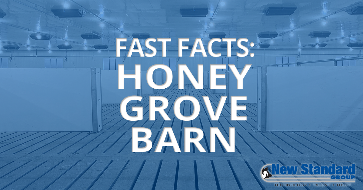 honey grove barn facts