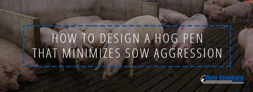 how to build a hog pen that reduces sow aggression