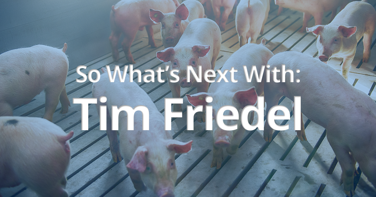 tim-friedel-whats-next