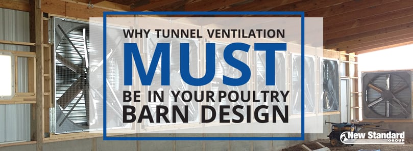 tunnel ventilation in poultry barn design