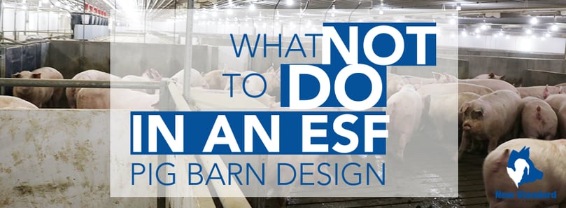 what not to do in a pig barn design.png