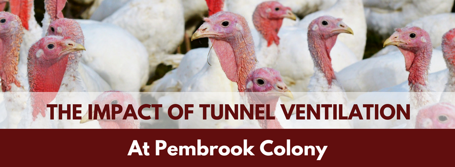 Pembrook - Tunnel Ventilation.png