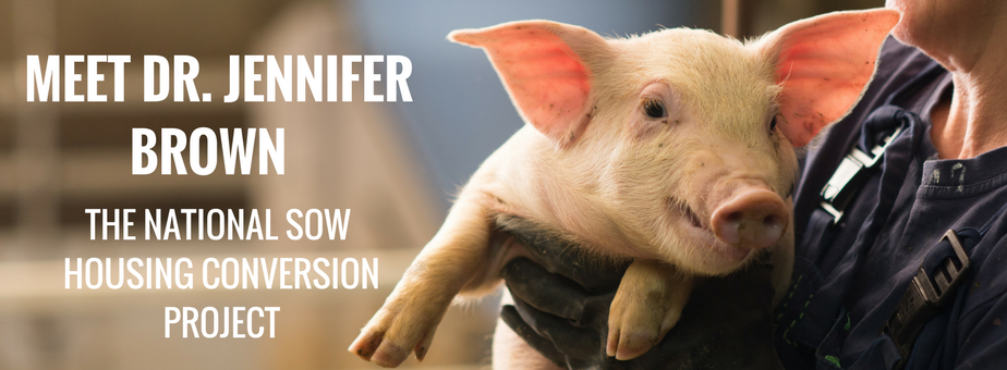 Meet Dr. Jennifer Brown from the National Sow Housing Conversion Project.png
